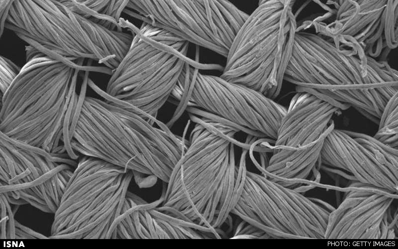 پوشاک کثیف خود را با نور خورشید تمیز کنید پوشاک کثیف خود را با نور خورشید تمیز کنید