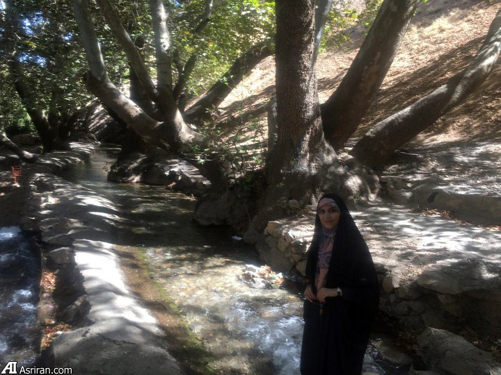 برترین مجریان زن تلویزیون معرفی شدند/ مژده لواسانی در صدر