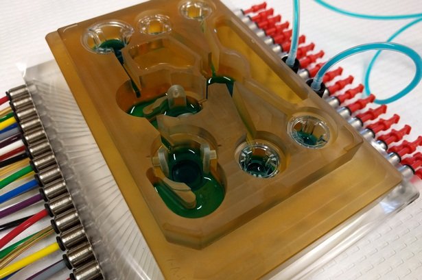 انسان روی تراشه آمد انسان روی تراشه آمد