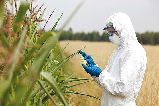 تراریختهها مظنونین همیشگی تراریختهها مظنونین همیشگی