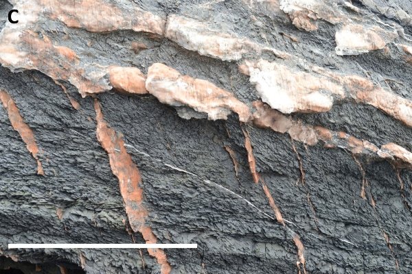 کشف رگ های آبی جدید در مریخ کشف رگ های آبی جدید در مریخ