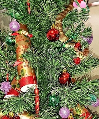 هدیه خطرناک بابانوئل به یک زن (+عکس)