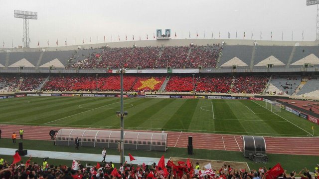 رونمایی پرسپولیسیها از ستاره موزاییکی (+عکس) رونمایی پرسپولیسیها از ستاره موزاییکی (+عکس)