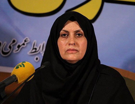 توقف تولید برخی خودروها با اجرای استانداردهای 85 گانه