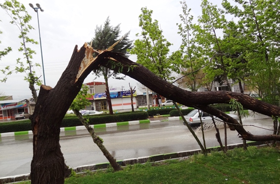 یادداشتی برای رانند زیر برف پاک کن! یادداشتی برای رانند زیر برف پاک کن!