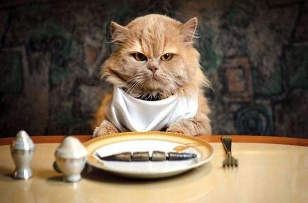 کاهش مصرف کربوهیدارتها بدون تجربه نوسانات خلقی کاهش مصرف کربوهیدارتها بدون تجربه نوسانات خلقی