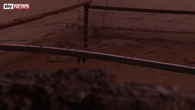 وحشت عریان در وحشت عریان در