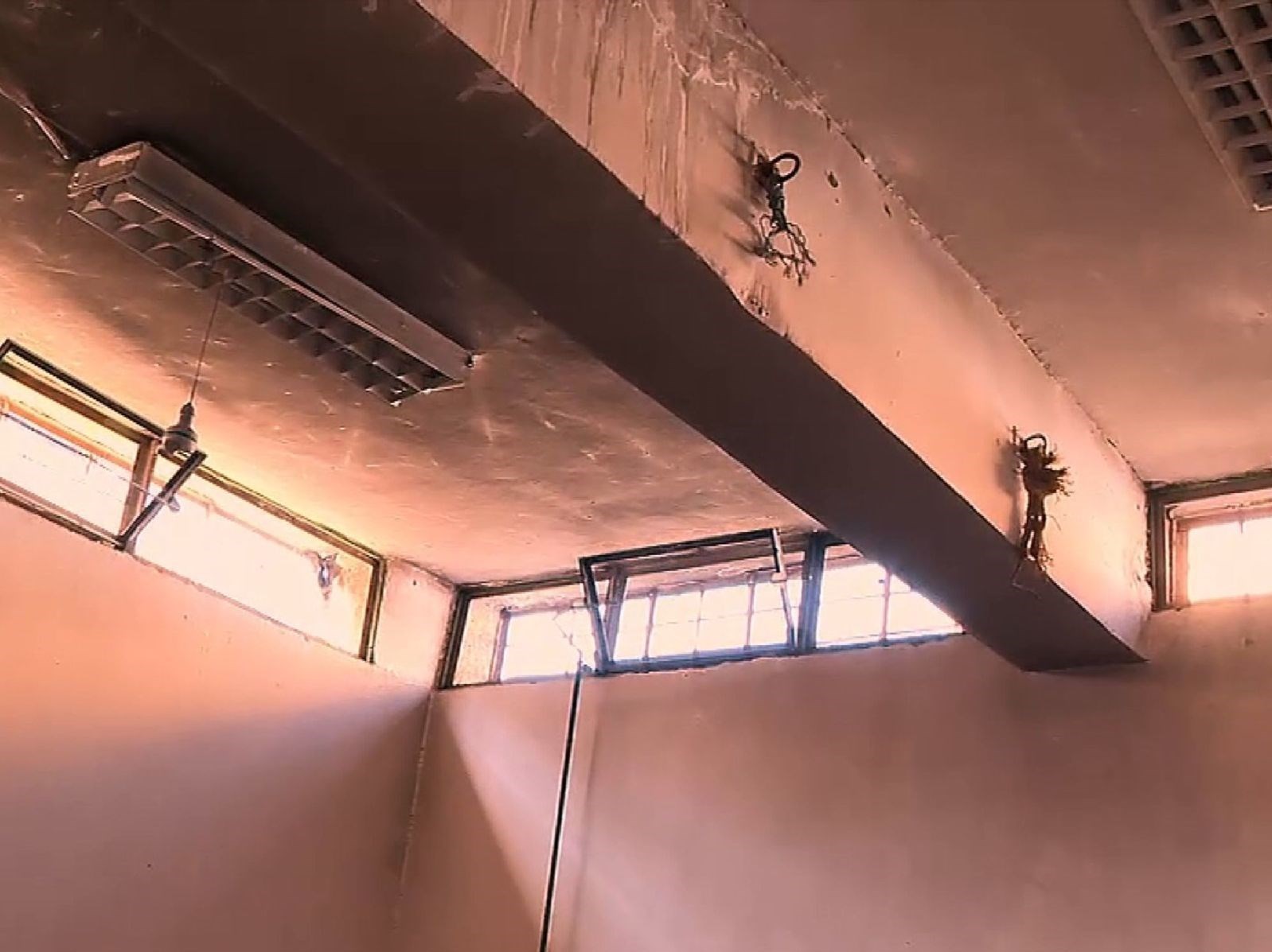 وحشت عریان در وحشت عریان در