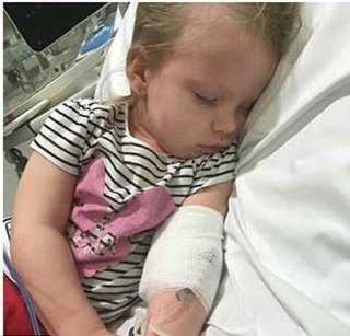 بیماری مرگبار در چنگ گربههای خانگی (+عکس) بیماری مرگبار در چنگ گربههای خانگی (+عکس)