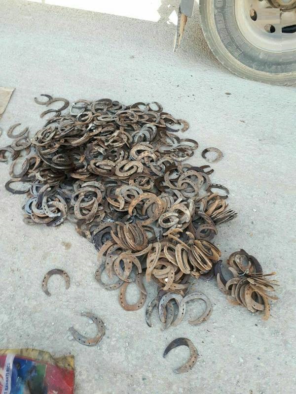 کشف قاچاق نعل اسب توسط ماموران گمرک (عکس)