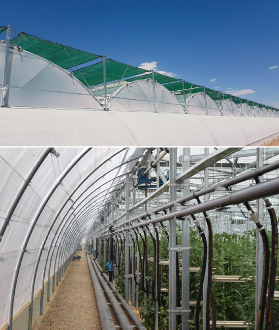 ضرورت توسعه کشت گلخانه‌ای برای مدیریت منابع آبی