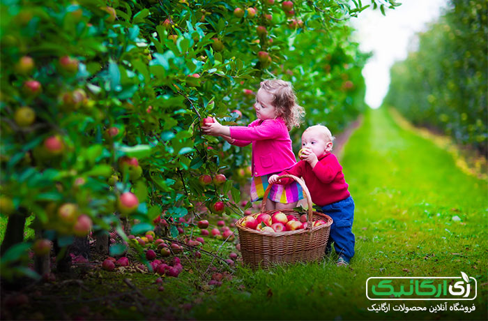 بهترین مرجع شناسائی و خرید محصولات ارگانیک کجاست؟ بهترین مرجع شناسائی و خرید محصولات ارگانیک کجاست؟