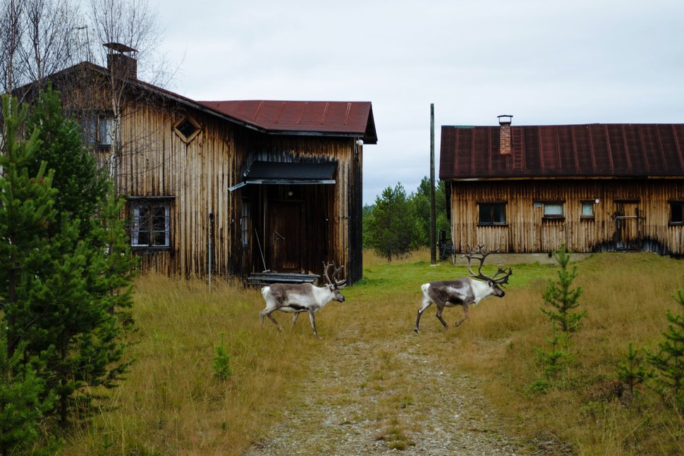 خوش‌بخت‌ترین کشورهای جهان در سال 2019