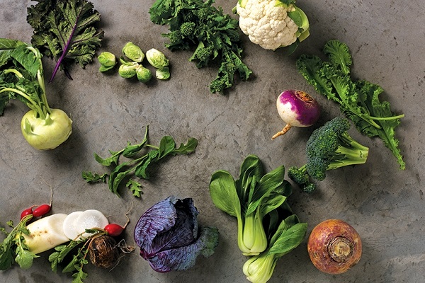 نسخه گیاهی برای پیشگیری از آترواسکلروز