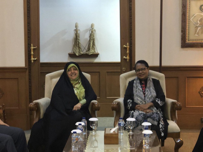 فرستاده ویژه رئیس جمهوری وارد اندونزی شد فرستاده ویژه رئیس جمهوری وارد اندونزی شد