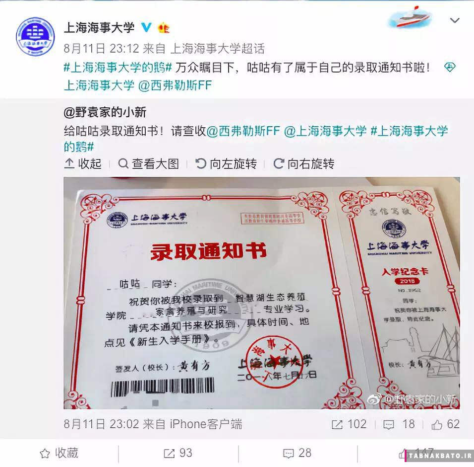 پذیرش یک غاز در دانشگاه شانگهای چین (+عکس) پذیرش یک غاز در دانشگاه شانگهای چین (+عکس)