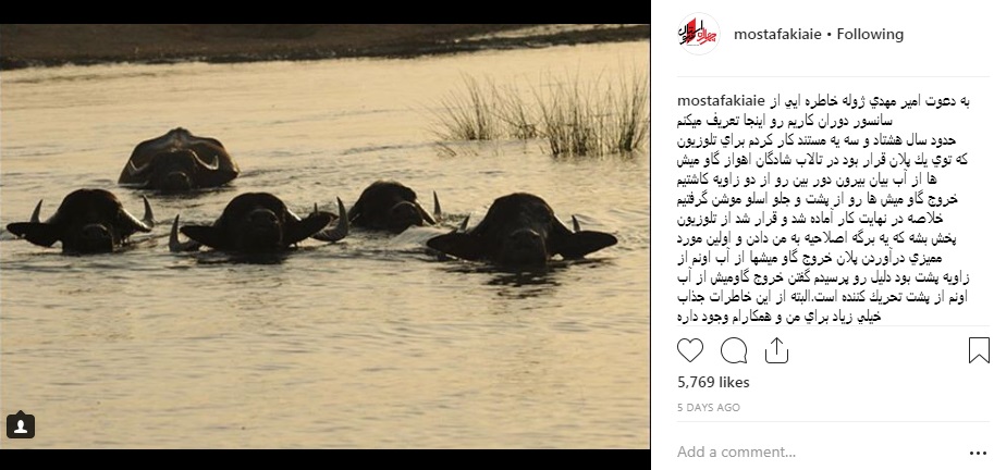 تجربیات هنرمندان از سانسور/ امیر مهدی ژوله، مهراب قاسم‌خانی، میترا حجار و ... (+فیلم)