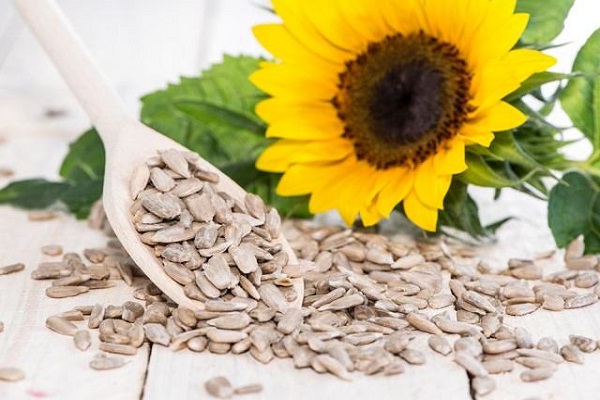 دانه‌های شفابخش!