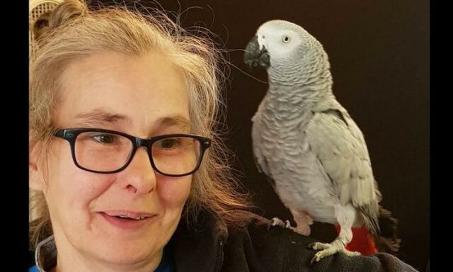 یک طوطی با دستیار صوتی تنقلات سفارش داد! (+عکس) یک طوطی با دستیار صوتی تنقلات سفارش داد! (+عکس)