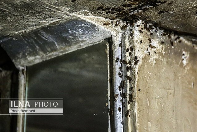 زندگی کارگر، دانشجو و معلمِ بازنشسته با معتاد و سارق زیر یک سقف/«فقر و بیپولی» نقطه اشتراک ساکنان خانههای مجردی زندگی کارگر، دانشجو و معلمِ بازنشسته با معتاد و سارق زیر یک سقف/«فقر و بیپولی» نقطه اشتراک ساکنان خانههای مجردی