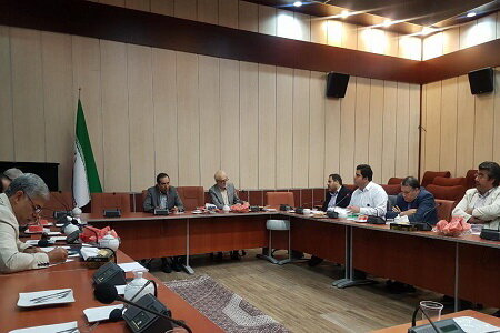 رئیس سازمان سینمایی: شفافیت پیش‌بینی پذیری است