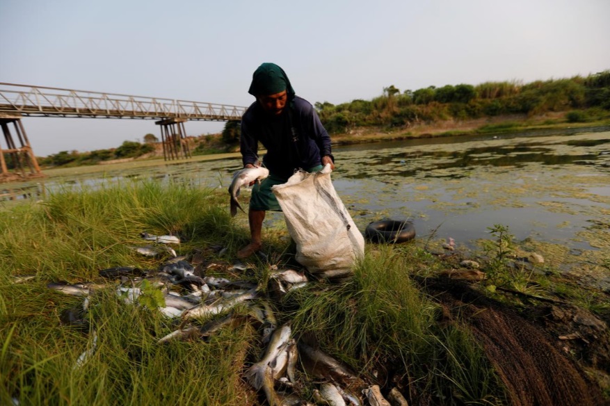 پول در برابر زباله/ روستای اندونزی برای امرار معاش زباله نیاز دارد پول در برابر زباله/ روستای اندونزی برای امرار معاش زباله نیاز دارد