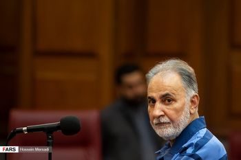 20 سال زندان برای رضوی / نجفی به اعدام محکوم شد