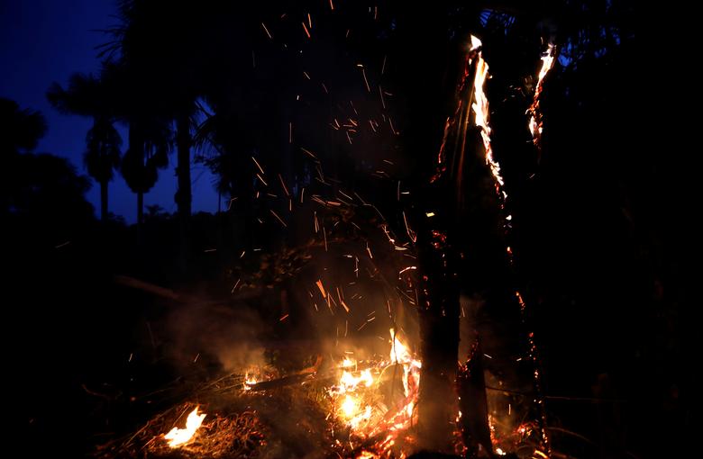 گروه 7: برای کمک به کشورهای آمازون آمادهایم (+عکس) گروه 7: برای کمک به کشورهای آمازون آمادهایم (+عکس)