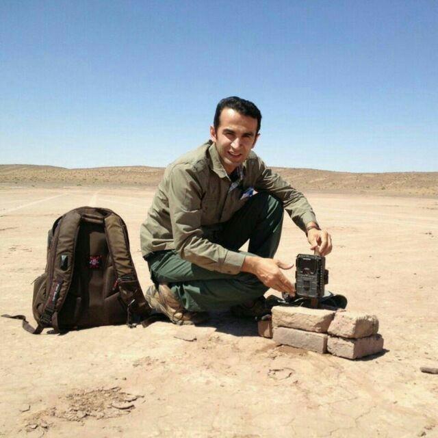 مرجع صاحب صلاحیت در خصوص سلامت یوزها، متخصصین دامپزشکی هستند