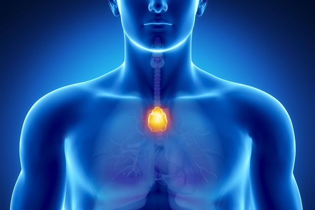 دانشمندان ترکیهای: اگر یک غدهتان خوب کار کند مستعد نوع خفیف کرونا هستید دانشمندان ترکیهای: اگر یک غدهتان خوب کار کند مستعد نوع خفیف کرونا هستید