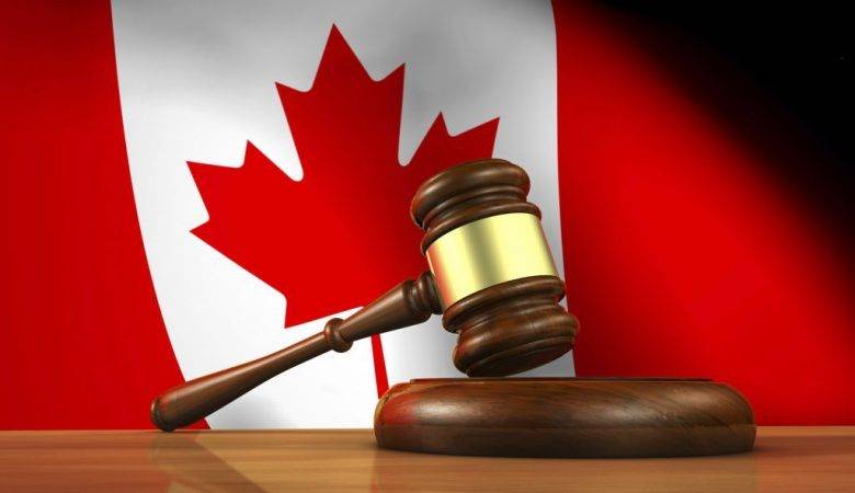 بهترین رشتههای تحصیلی در کانادا/ آشنایی با رشتههای پرطرفدار در این کشور بهترین رشتههای تحصیلی در کانادا/ آشنایی با رشتههای پرطرفدار در این کشور