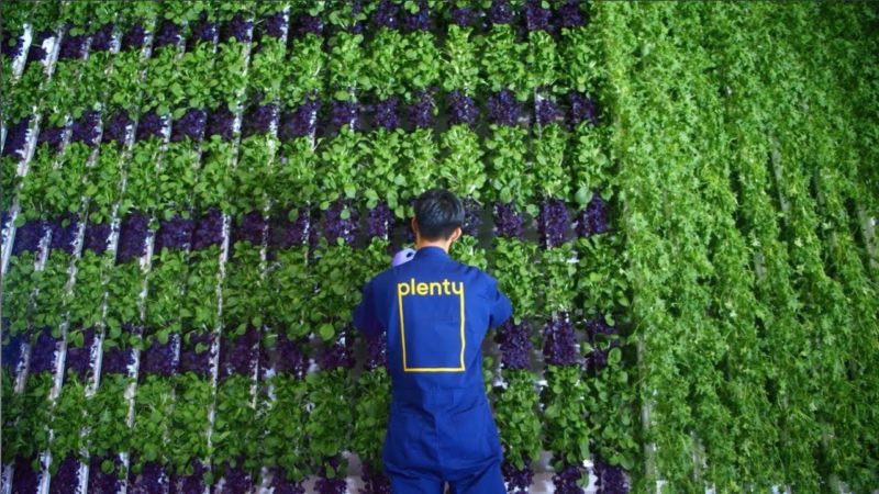 توسعه مزرعه عمودی