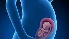 دلالانی که در بازارِ داغِ «رحم جایگزین» از آب گل آلود ماهی می‌گیرند