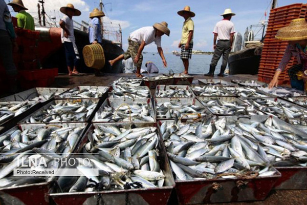 1000 ماهیگیر هندی هنوز در ایران به سر می‌برند