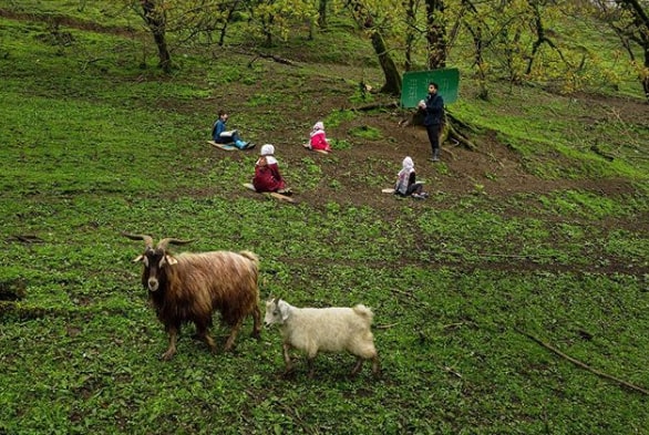 نباید بین دانشآموزان سراسر ایران تبعیض باشد/ جنگلنشینان چشمانتظار خیران مدرسهساز دانش آموزان عشایر
