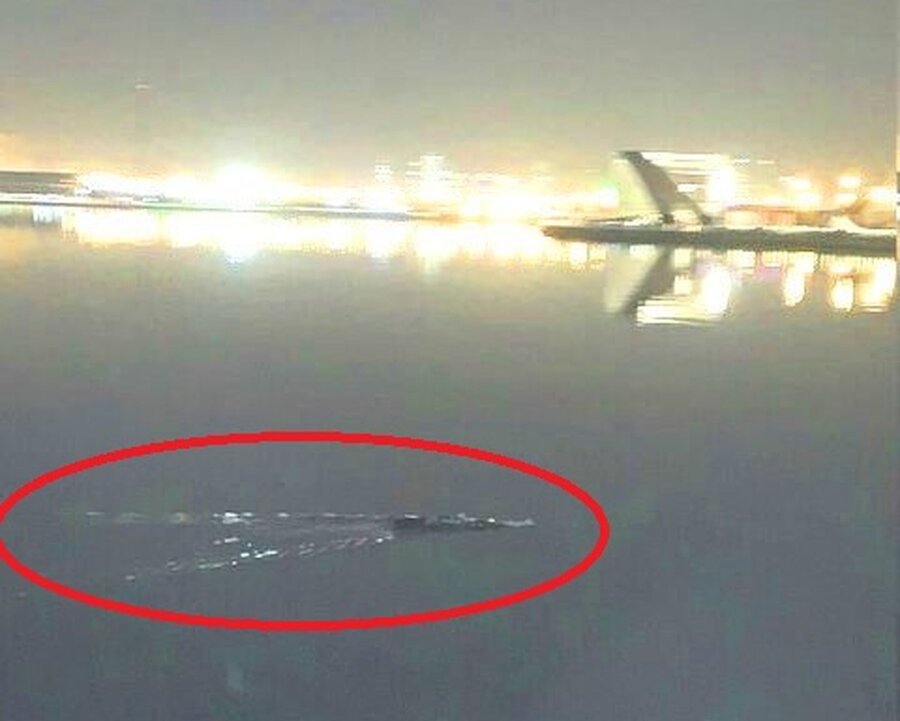 تمساح‌ چیتگر