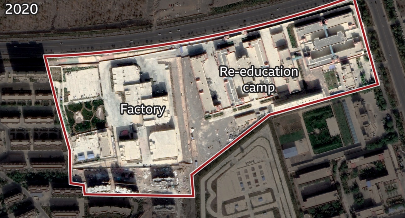 کار اجباری مسلمانان اویغور در مزارع ننگین پنبه چین کار اجباری مسلمانان اویغور در مزارع ننگین پنبه چین