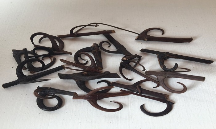 نسخه گیاهی برای کاهش فشار خون