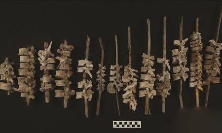 کشف تاریخی جالب درباره مردگان اینکا