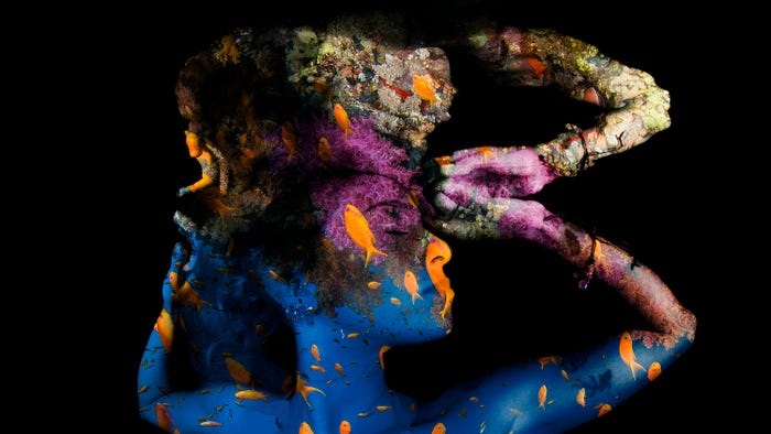 نمایی شگفت انگیز از حیات زیرآبی در مسابقه عکس روز جهانی اقیانوس نمایی شگفت انگیز از حیات زیرآبی در مسابقه عکس روز جهانی اقیانوس