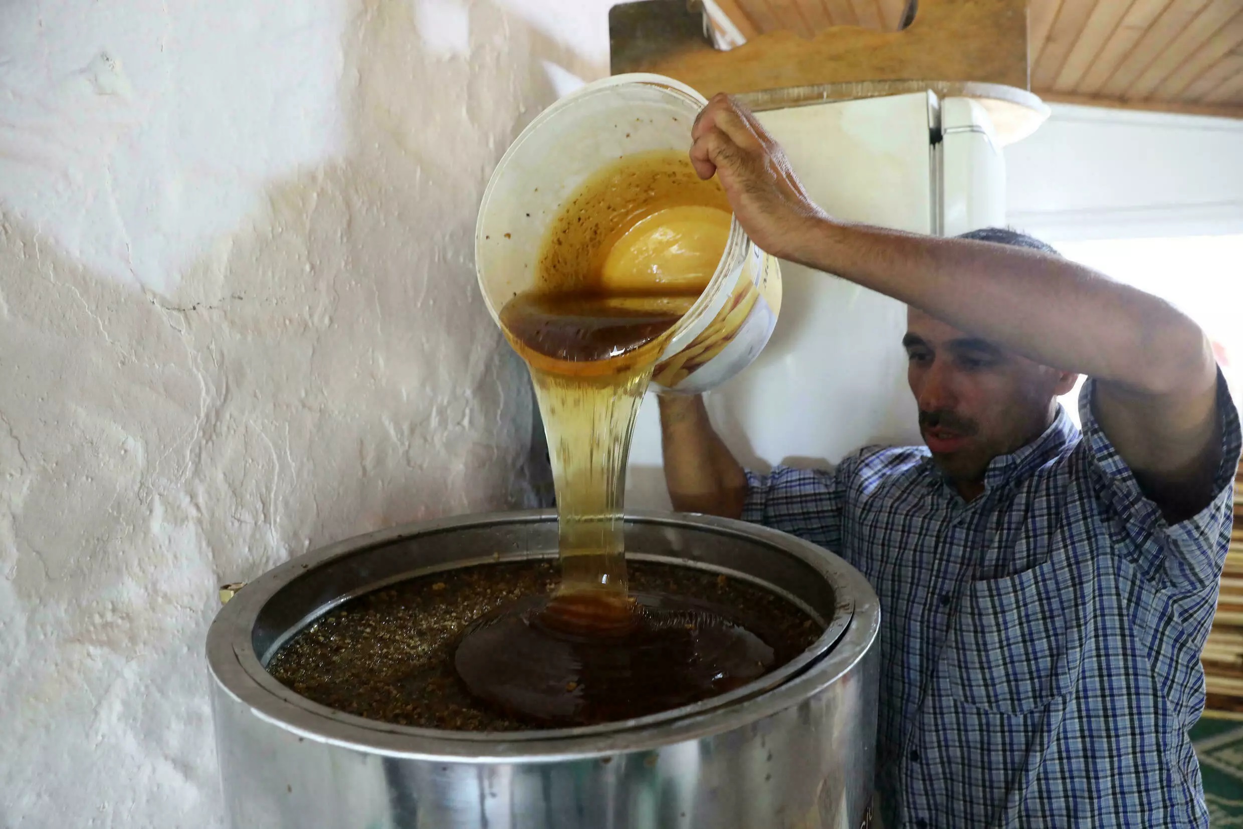 ضرر آتش سوزی تکیه به ارزشمندترین عسل کاج جهان عسل کاج ترکیه