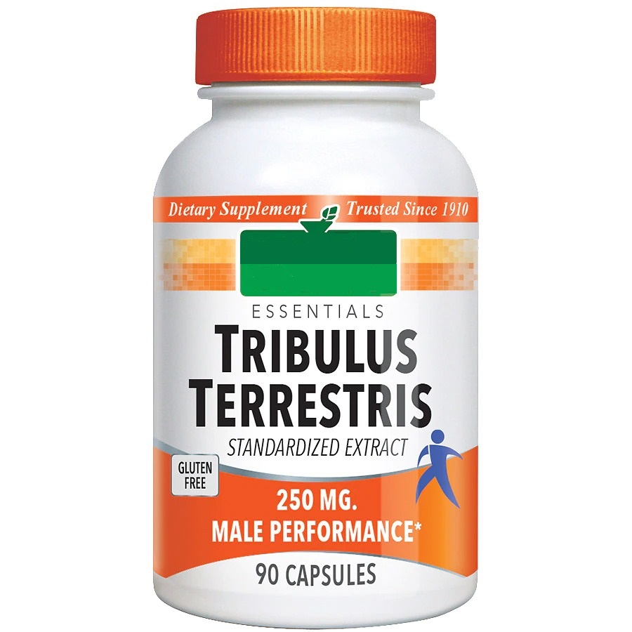 همه چیز درباره گیاه شگفت انگیز خارخَسَک همه چیز درباره گیاه شگفت انگیز خارخَسَک