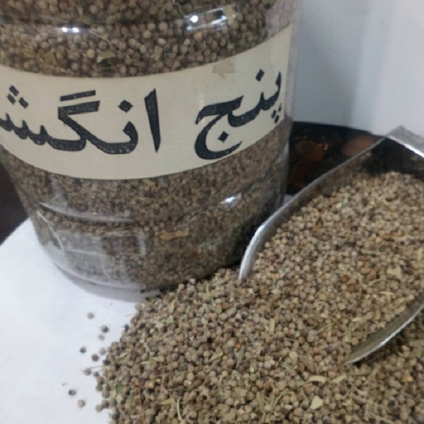 همه چیز درباره گیاه پنج انگشت؛ دانش روز دنیا چه می گوید؟ همه چیز درباره گیاه پنج انگشت؛ دانش روز دنیا چه می گوید؟