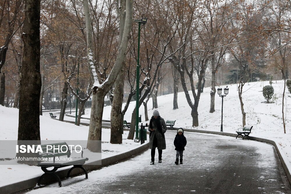 در ستایش بطالت! در ستایش بطالت!
