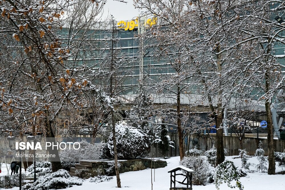 روز نهم جشنواره فجر چهل و یکم در سینما رسانه روز نهم جشنواره فجر چهل و یکم در سینما رسانه ؛ فیلمها و حاشیهها (+عکس)