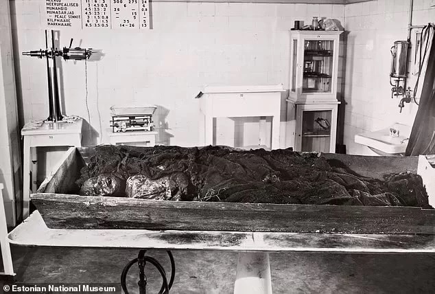 کشف اسرار جدید از مومیاییهای باتلاقی ۷ هزار ساله (+عکس) کشف اسرار جدید از مومیاییهای باتلاقی ۷ هزار ساله (+عکس)