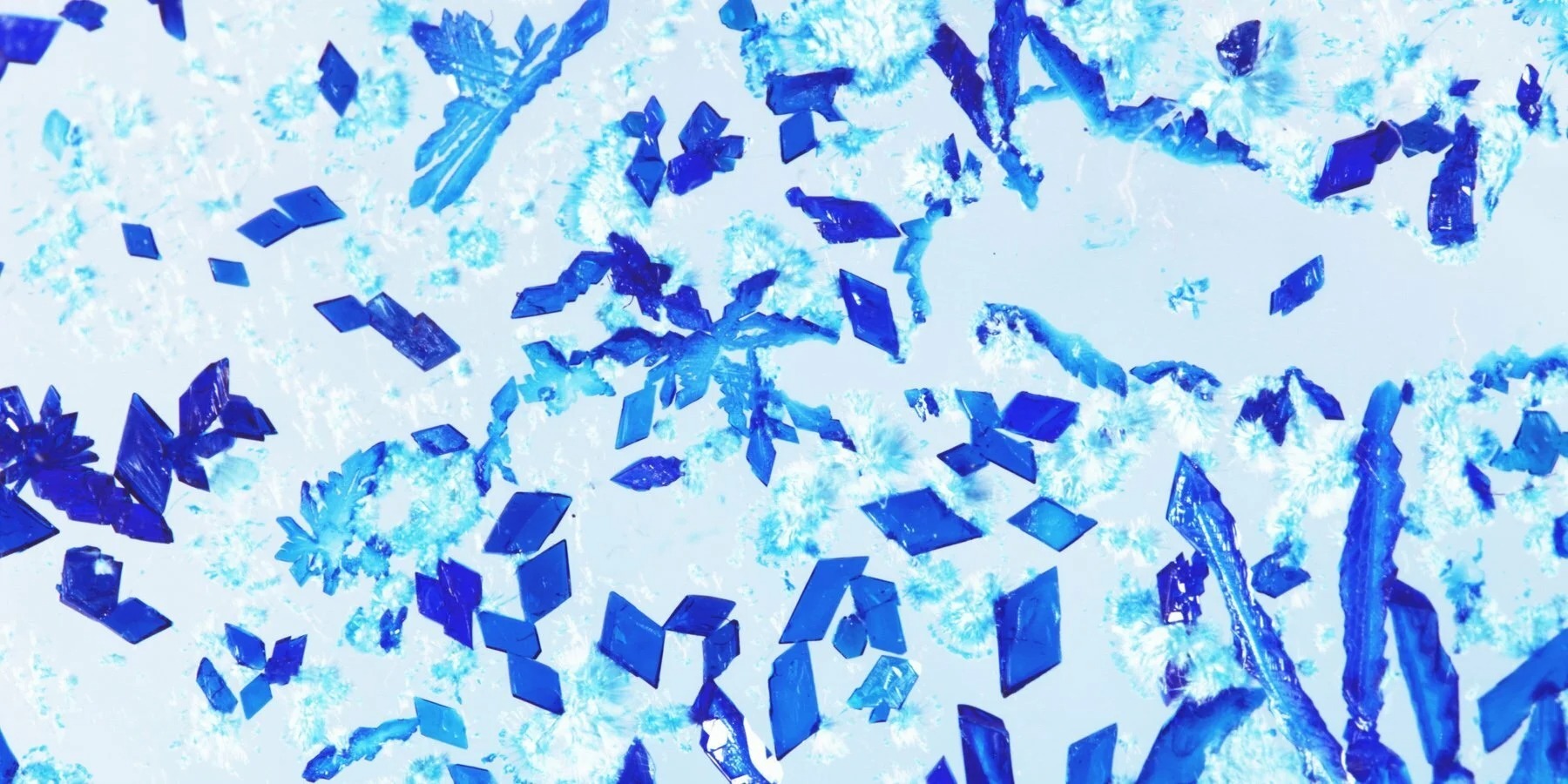 آلکیمی؛ زیبایی جواهرات وقتی پای طلا و برلیان وسط نیست! (+عکس)