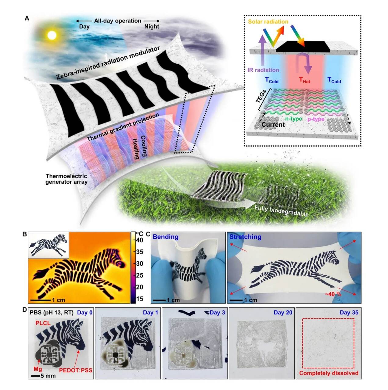 تولید برق با الهام از پوست راه راه گور خر