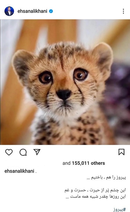 احسان علیخانی: پیروز را هم، باختیم ... (+عکس)