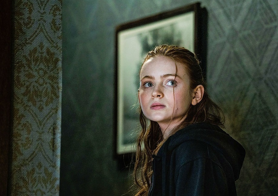 فیلم نهنگ دارن آرنوفسکی ؛ واقعا آدم‌ها موجودات بی‌نظیری هستند؟